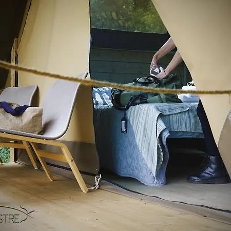Glamping Pian Delle Ginestre * Sassetta